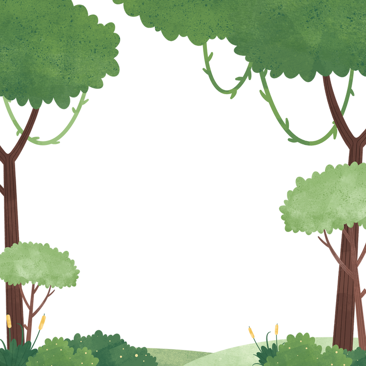 Green Forest Frame Background